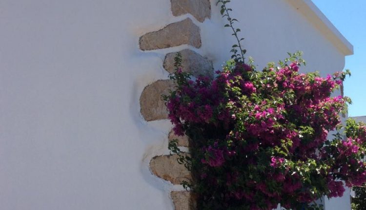 γωνιολιθοι1