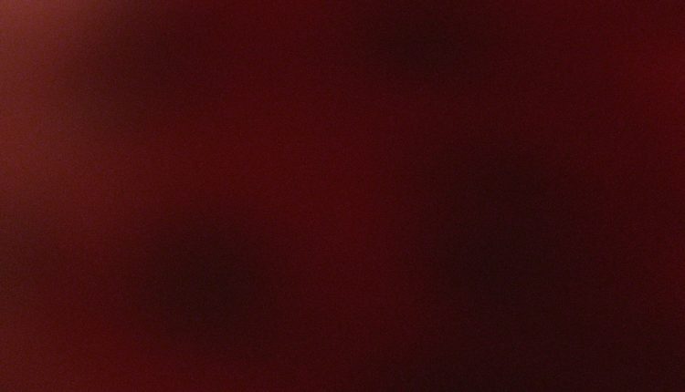 2566905754_8f9dd8cea2_b